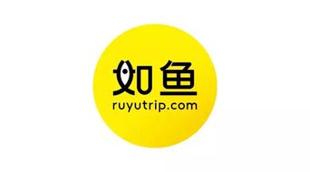 从如鱼旅行到如鱼蜕变 品牌升级如何重塑创意服务新体验